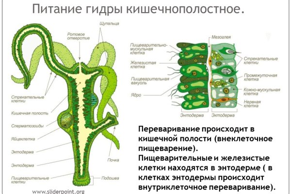 Не могу зайти на кракен