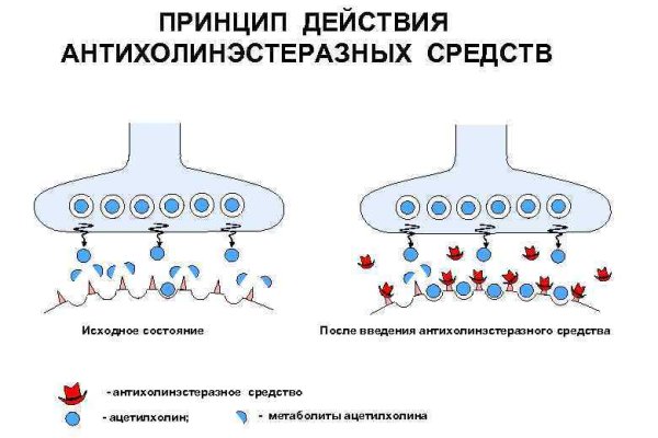 Кракен маркетплейс это